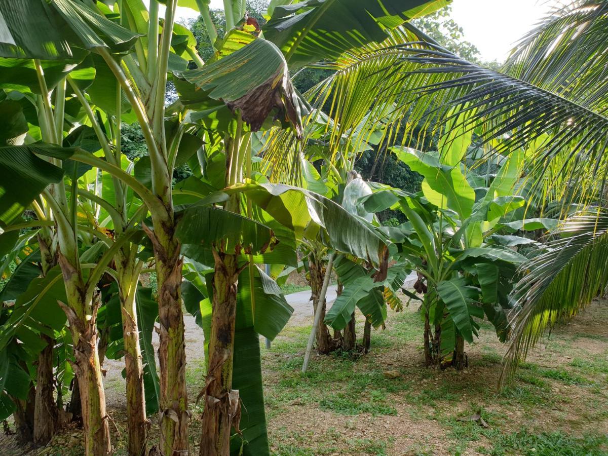 Hotel Baan Suan Coconut Ko Yao Noi Exterior foto